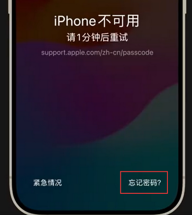 环县苹果手机密码维修分享iPhone忘记了刚设置的密码 