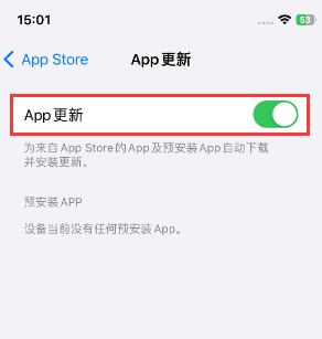 环县苹果15维修中心如何让iPhone15APP自动更新