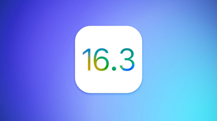 环县苹果服务网点分享iOS/iPadOS 16.3 Beta1新增了什么功能 