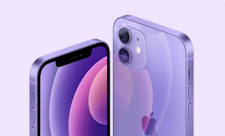 环县苹果手机维修分享紫色版iPhone 12有什么技术亮点 