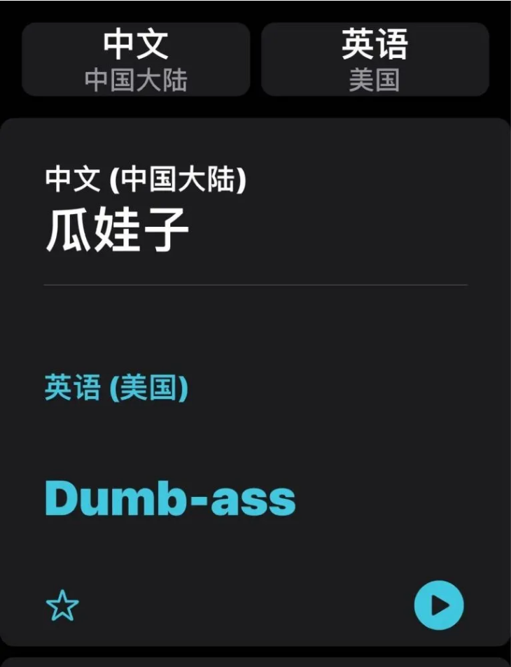环县苹果手机维修分享iOS14的“翻译太懂了”怎么用 