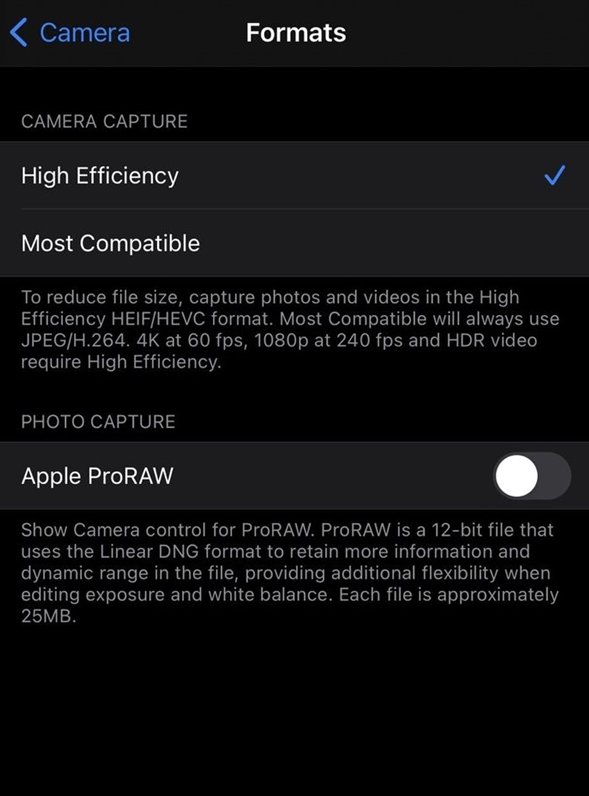 环县苹果手机维修分享如何为 iPhone 12 Pro/Max 启用 ProRAW 照片格式 