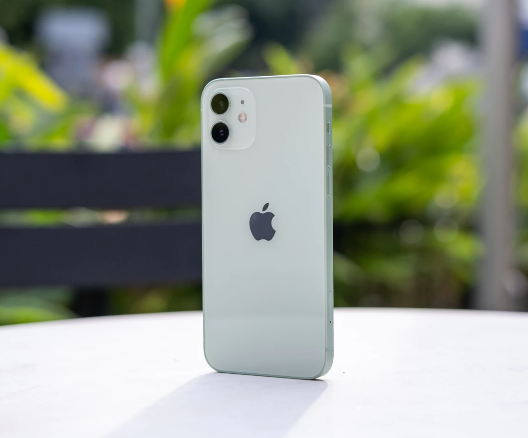 环县苹果手机维修分享iPhone 12 不慎落入水中如何处理 